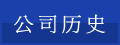 公司历史