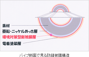 パイプ断面で見る防錆被膜構造